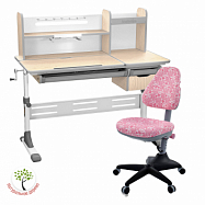 Комплект Anatomica Genius парта + кресло + надстройка + выдвижной ящик + подставка для книг